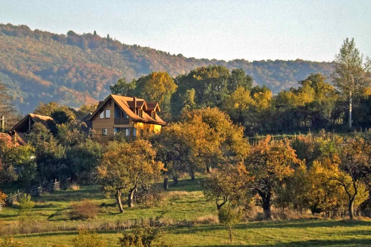 Apartamento Casa Zollo Sălişte Exterior foto