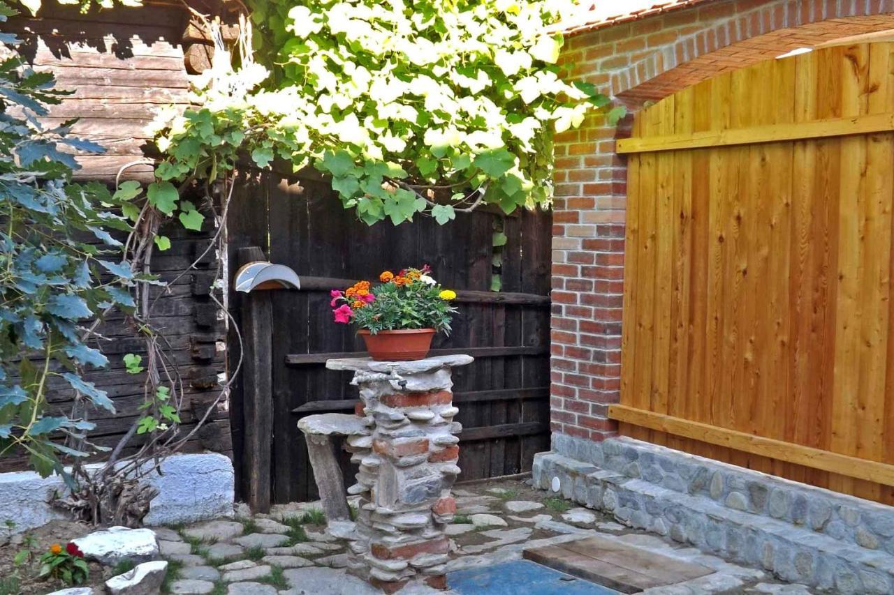 Apartamento Casa Zollo Sălişte Exterior foto